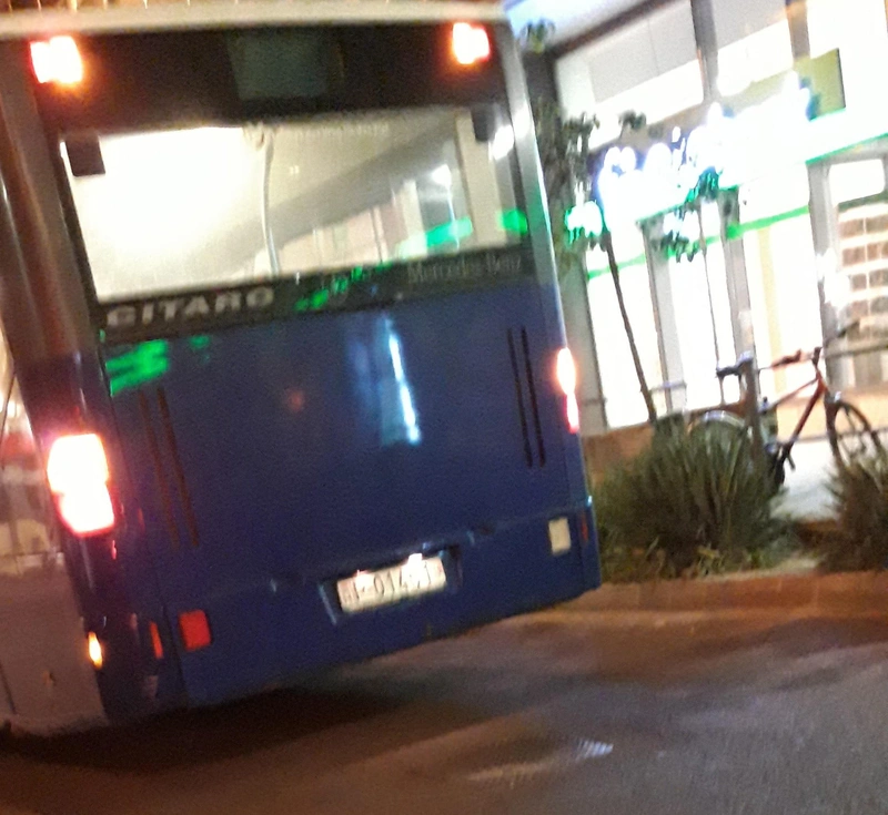 pebetus2.jpg