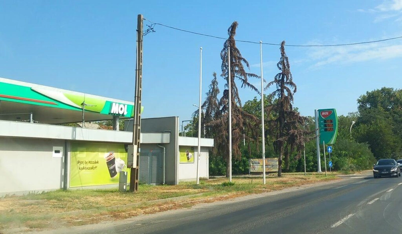 Fotó: Hraskó István
