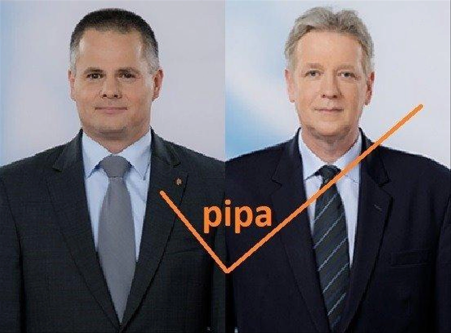 pipa.jpg