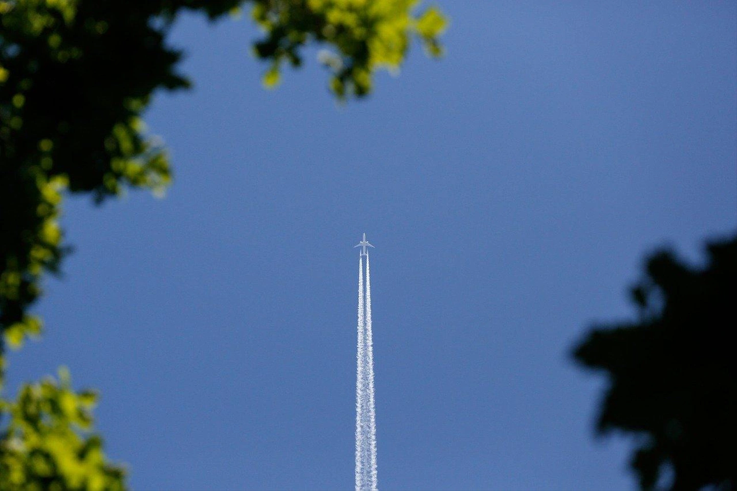 plane-7206856_1280.jpg