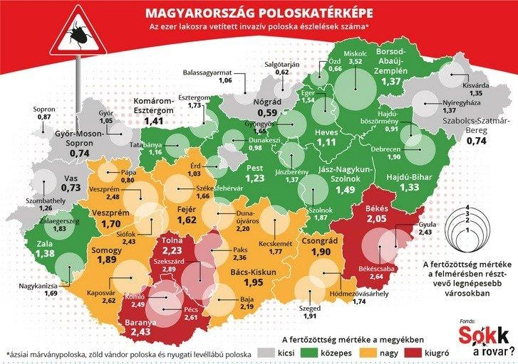 Poloskatérkép 2020 (Kép: Sokk a rovar)