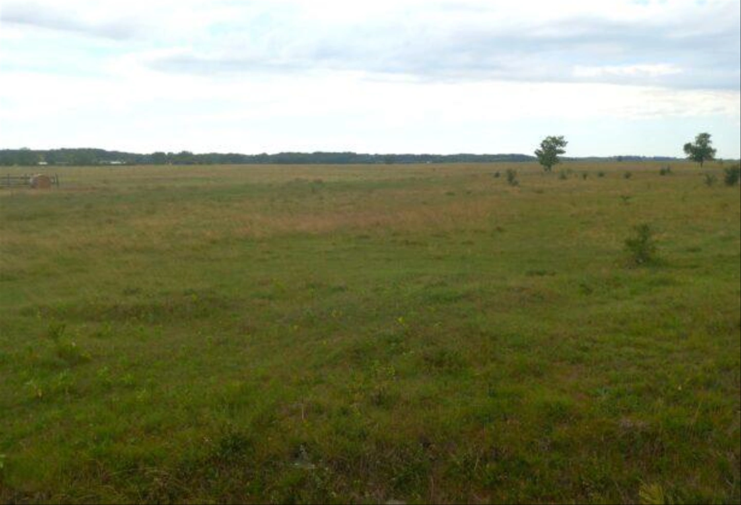 Puszta-Kapuja-Bugac-Nemzeti-Park-295-615x420.jpg