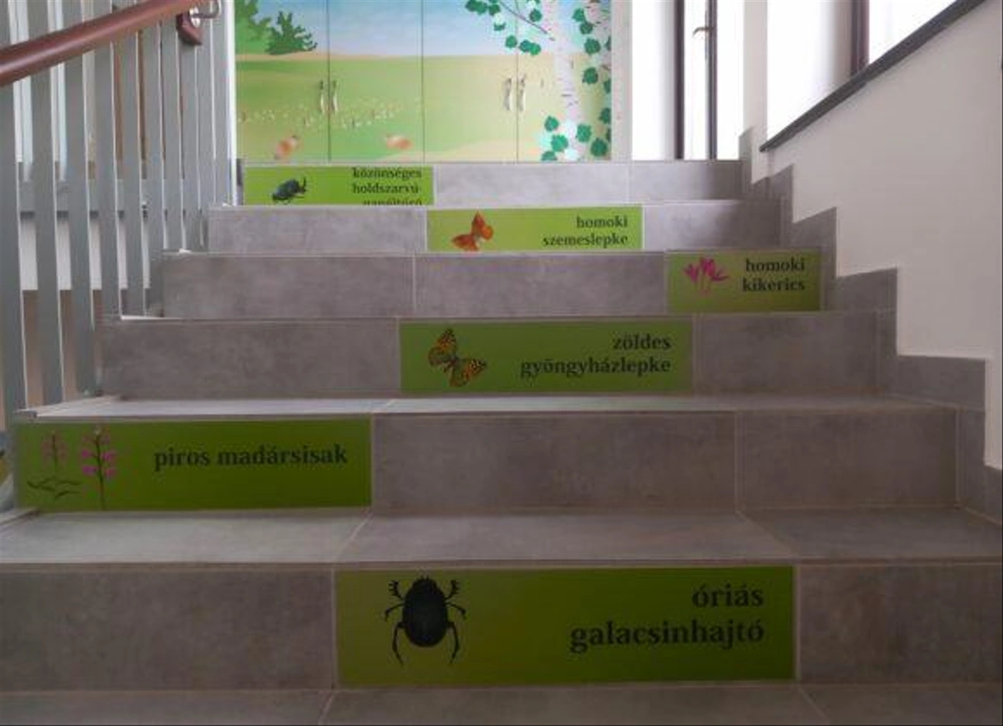 Puszta-Kapuja-Bugac-Nemzeti-Park-79-580x420.jpg