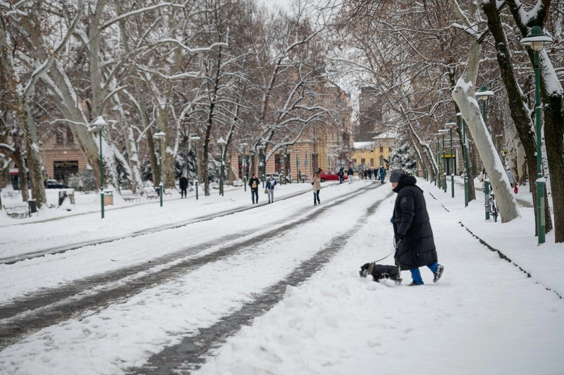 Fotó: szegeder.hu