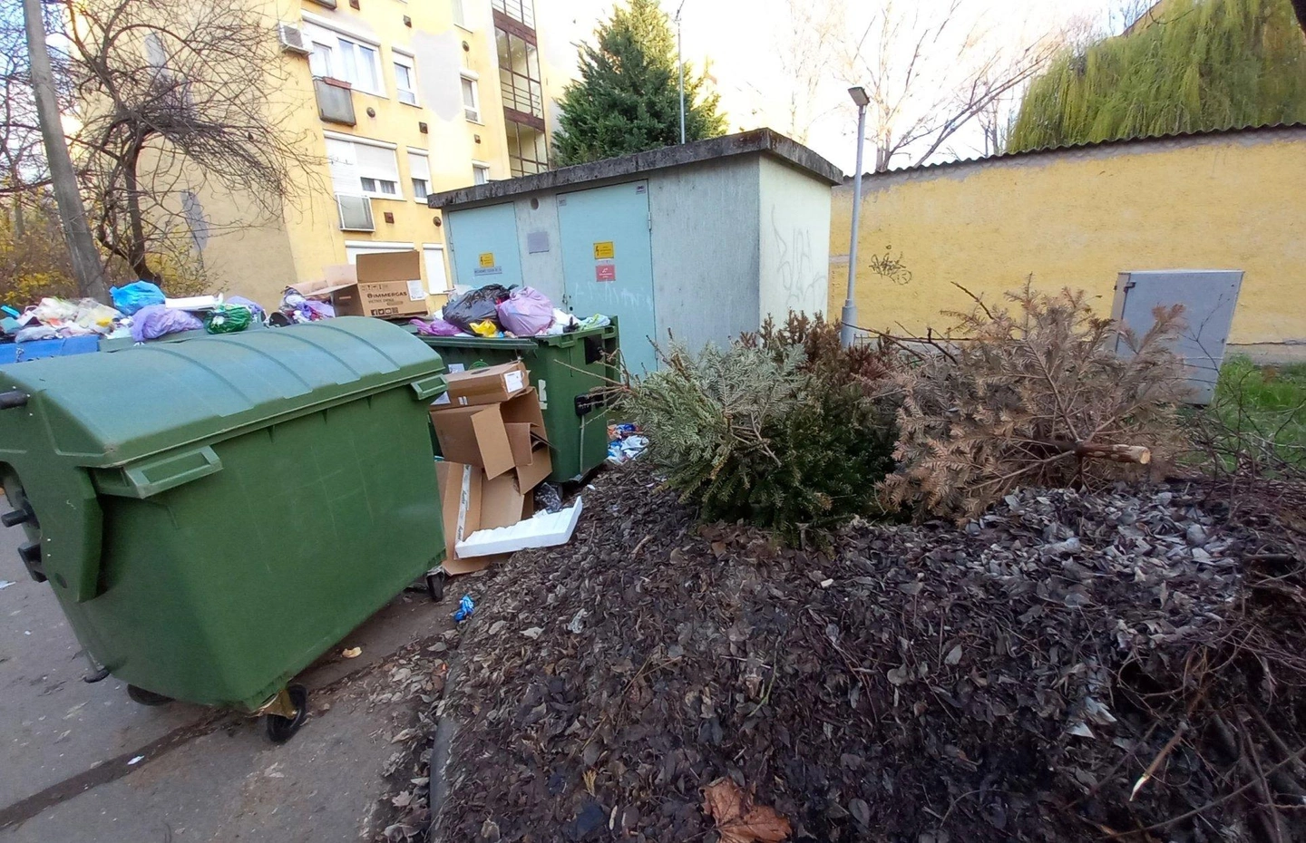 szemet-1.jpg