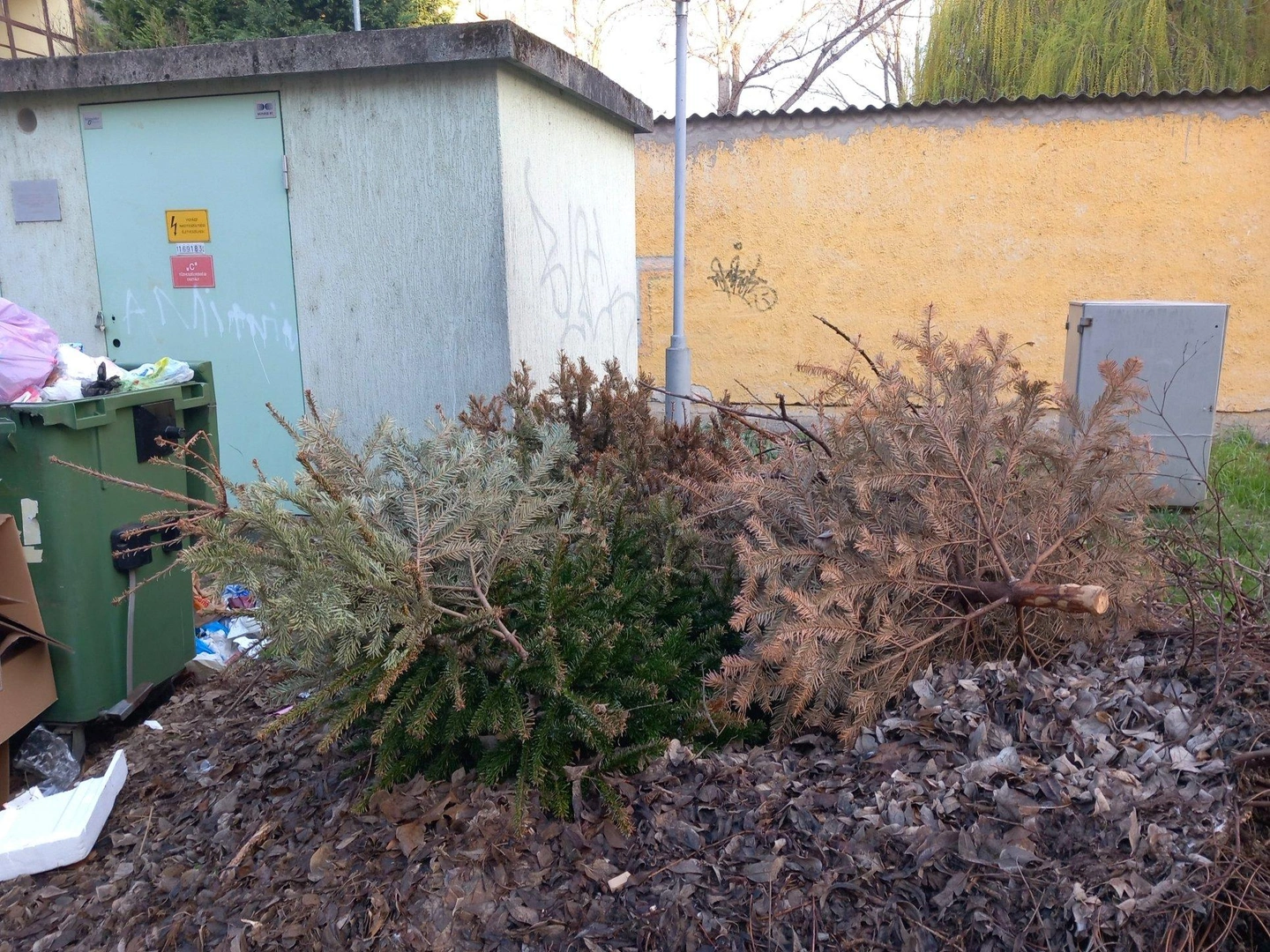 szemet-2.jpg