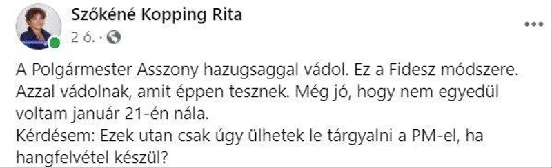 szokenefidesz.jpg