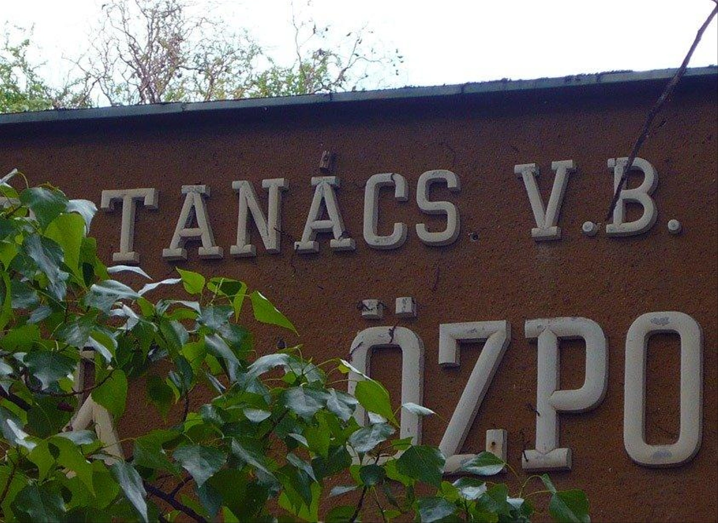 Tanacs_v.b.jpg