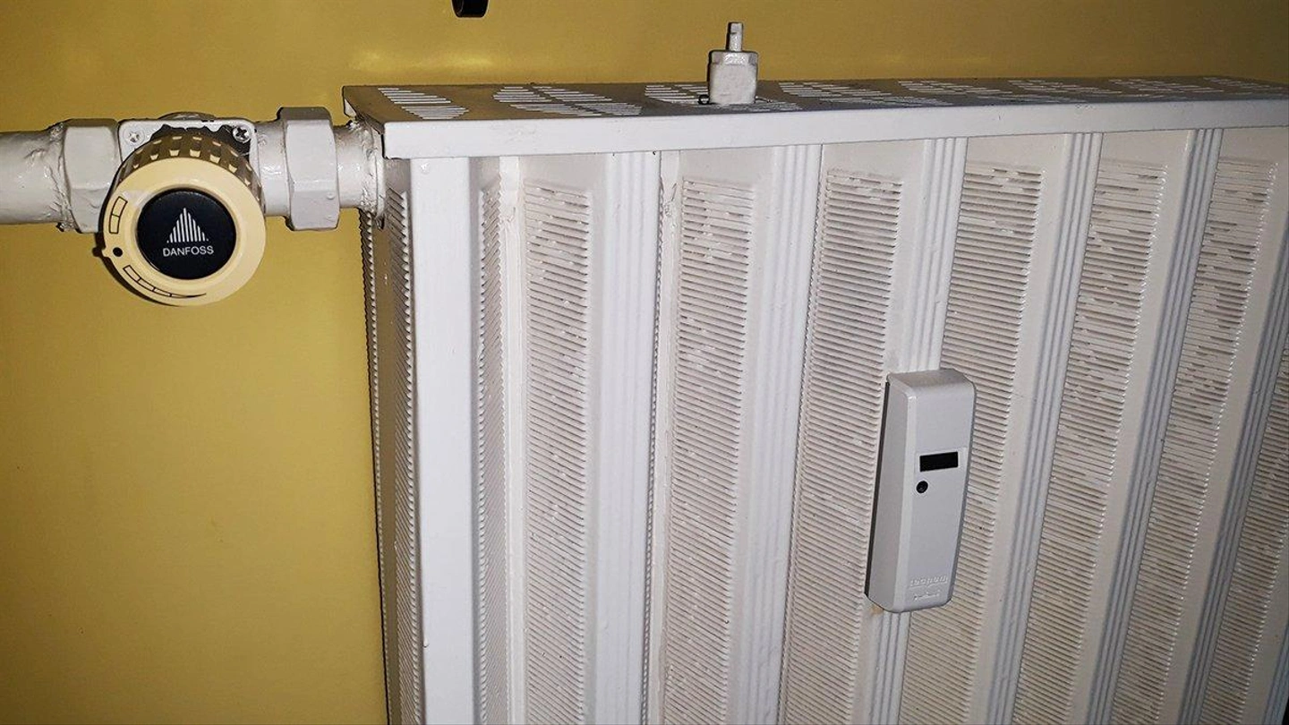 tavho.jpg