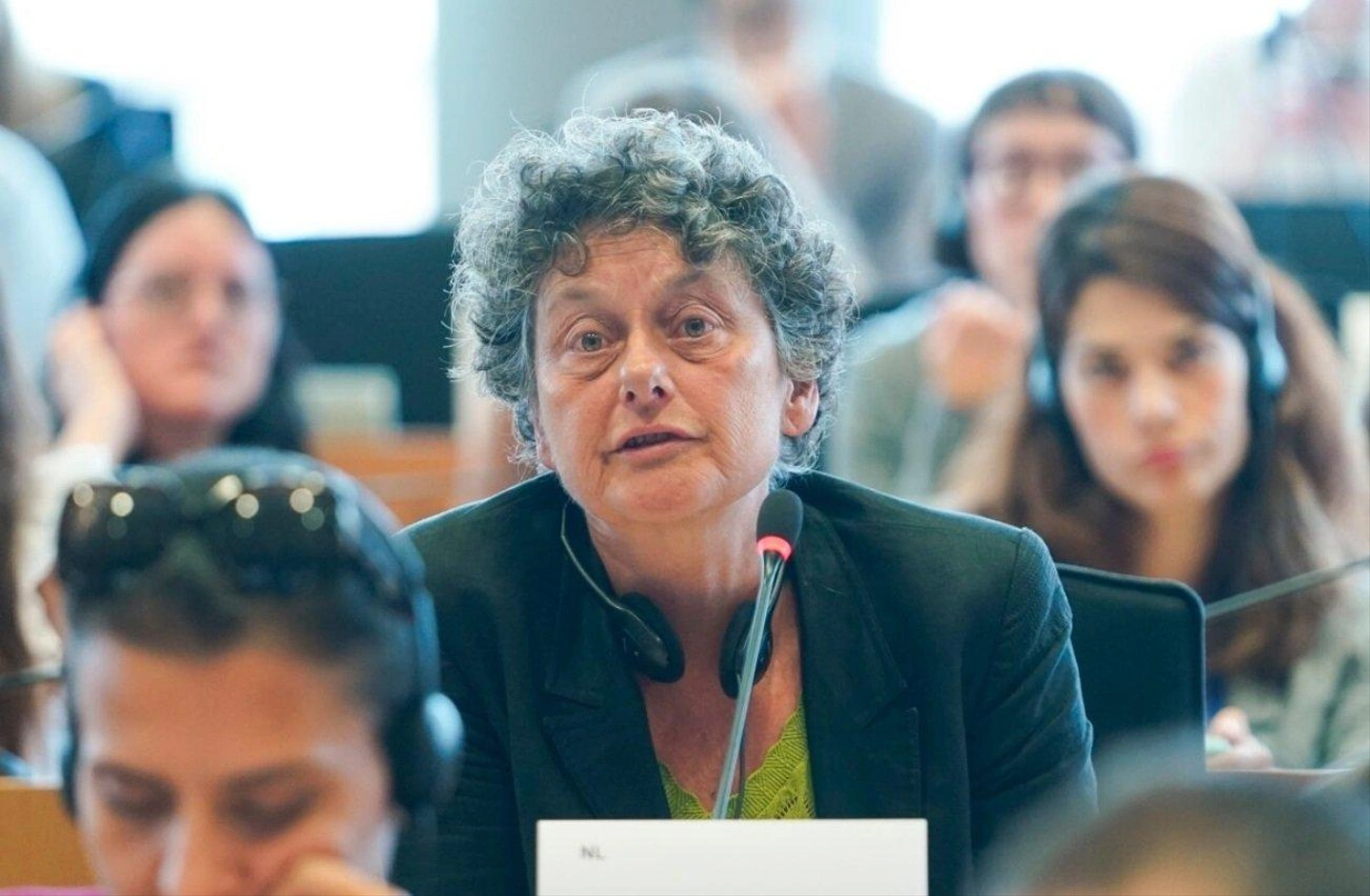 Tineke-Strik.jpg