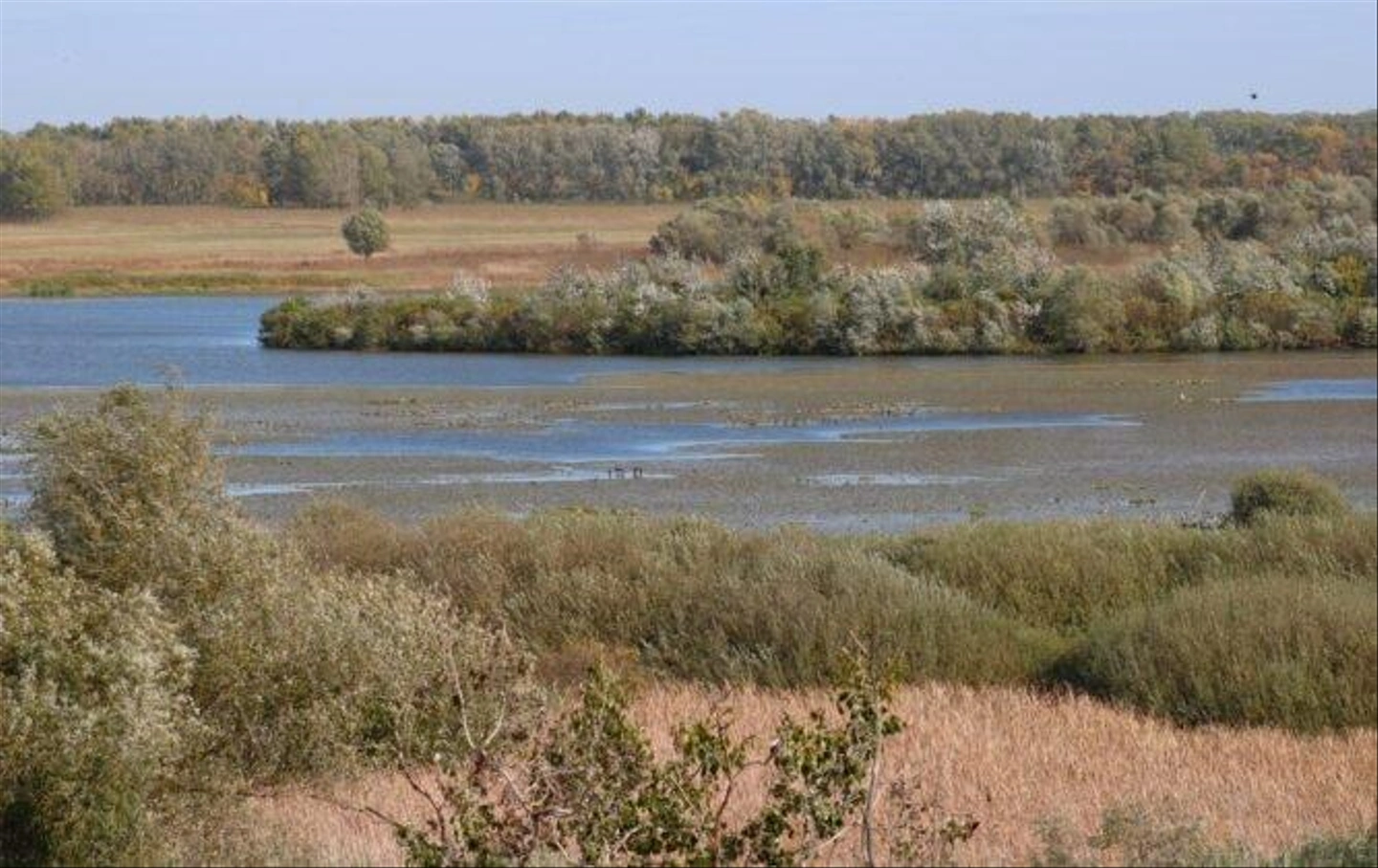 Tiszaalpar-Nagy-to-1-667x420.jpg