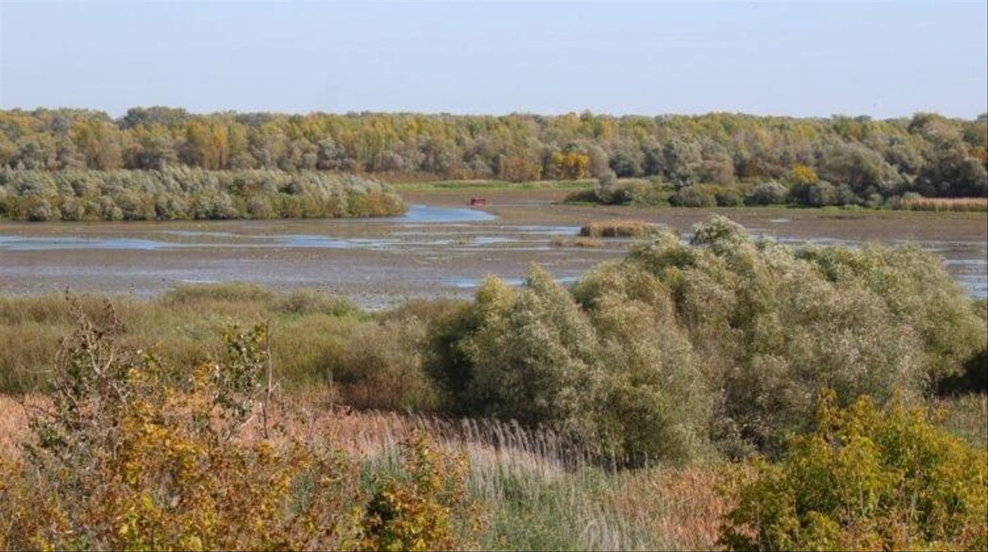 Tiszaalpar-Nagy-to-7-751x420.jpg