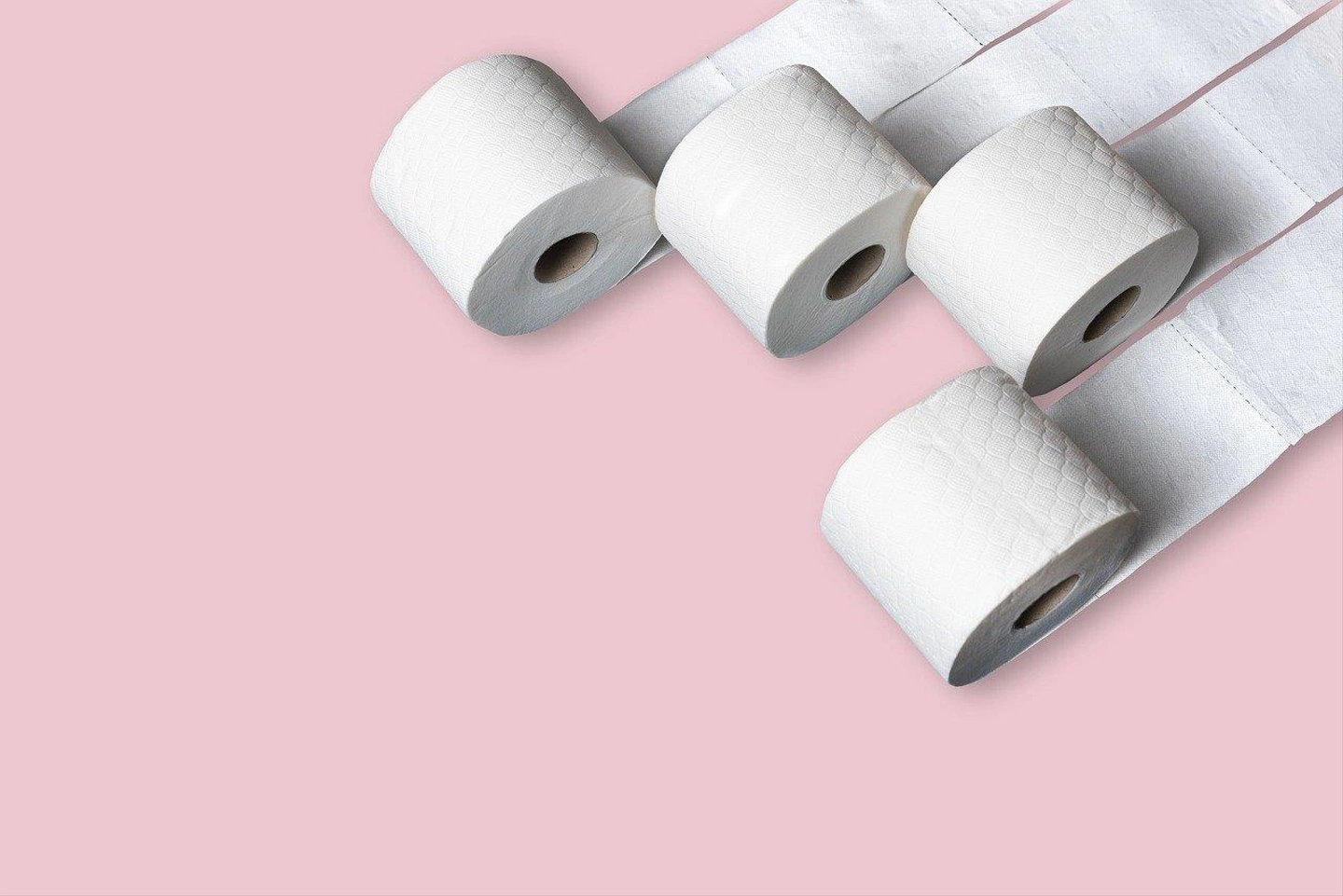 toilet-4974464_1280.jpg