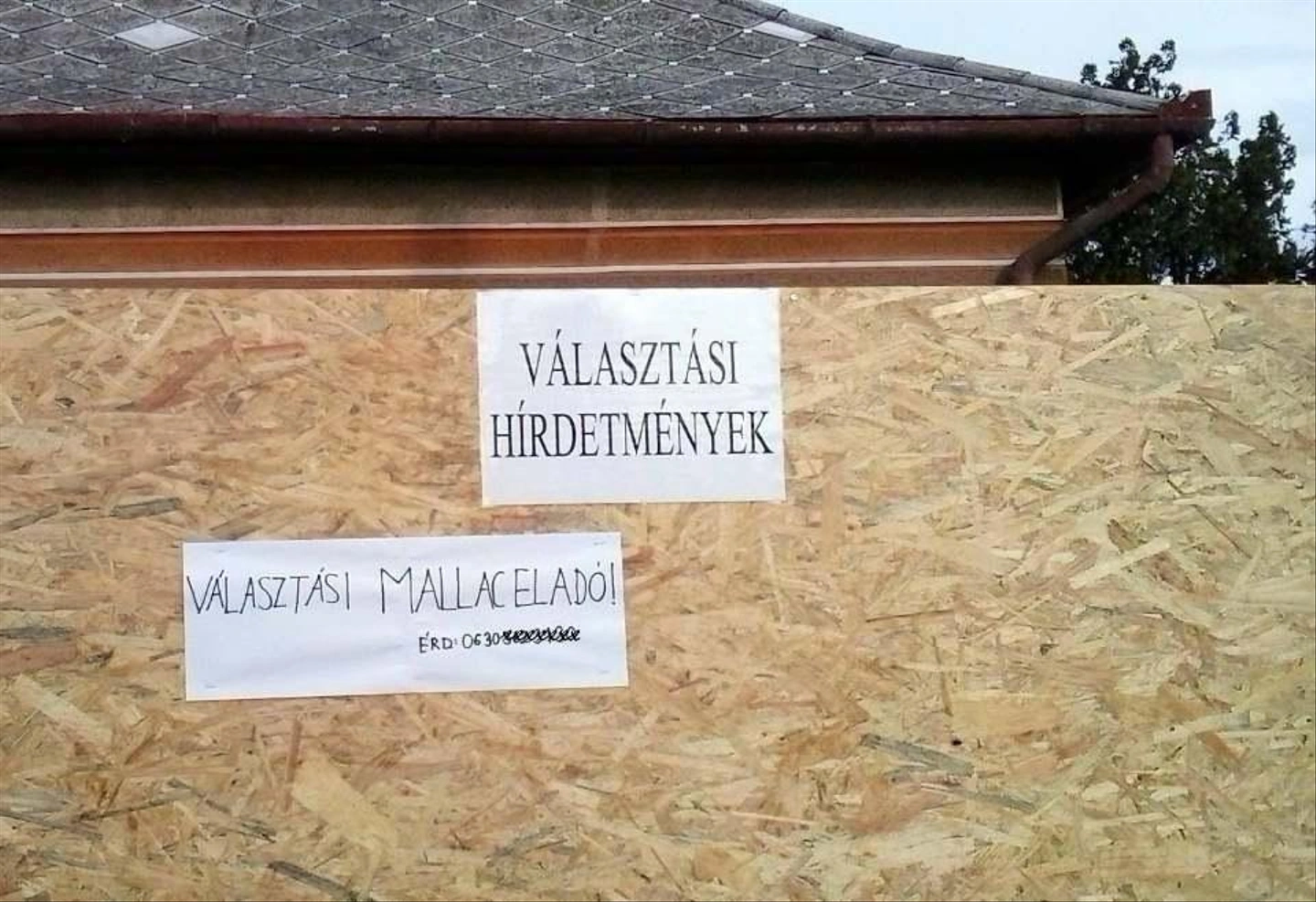 valasztas18.jpg
