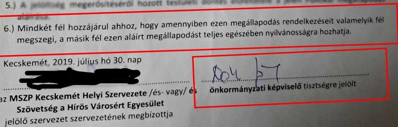 vege.jpg