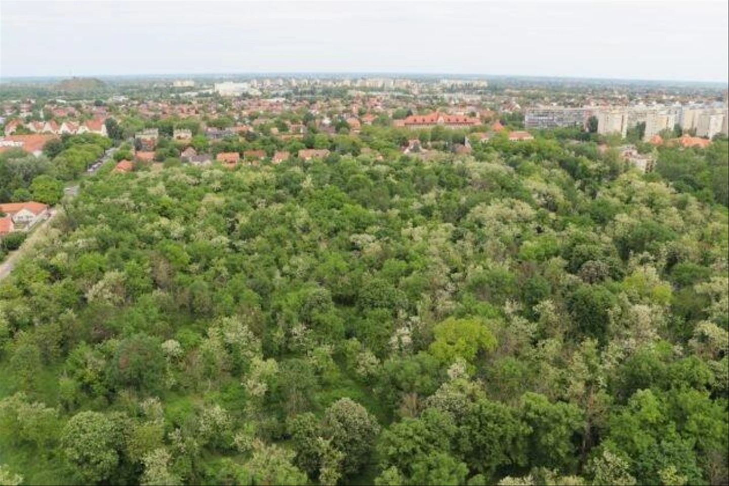 viztorony-14-630x420.jpg