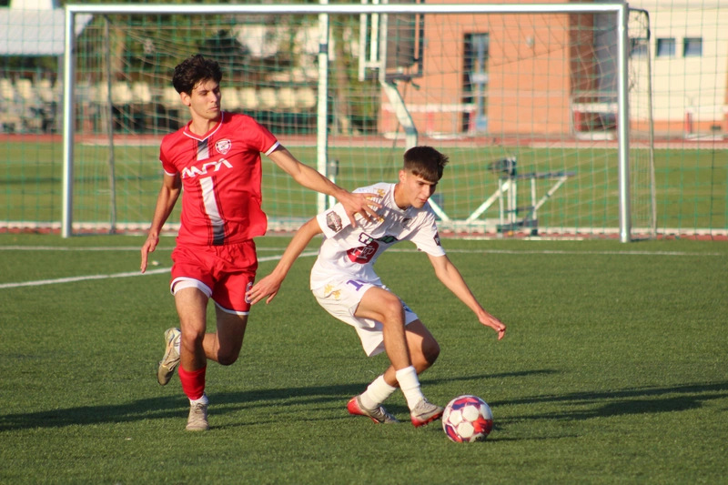 ktekalocsa