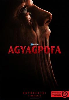 Malom Mozi – Agyagpofa