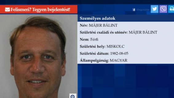 Májer Bálint hazatérne