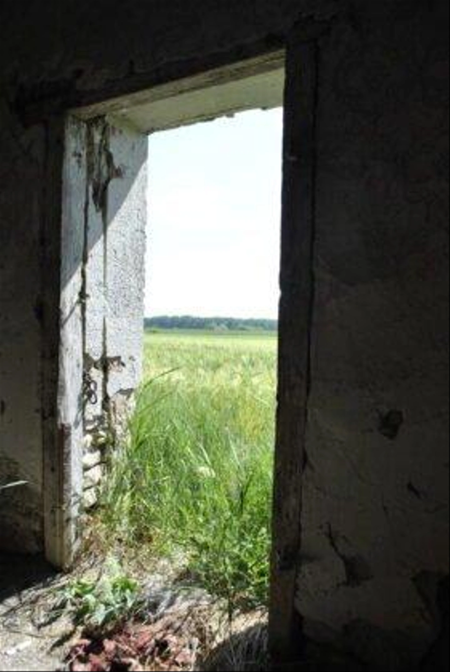 48-rotated-281x420.jpg