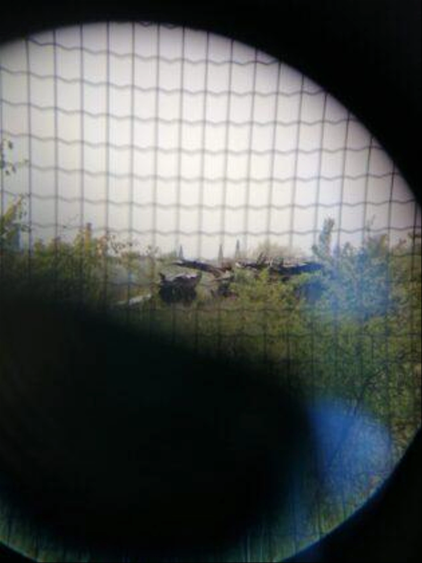4a-scaled-315x420.jpg