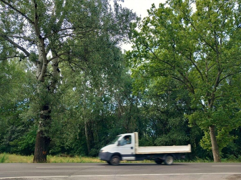 Fotó: Hraskó István