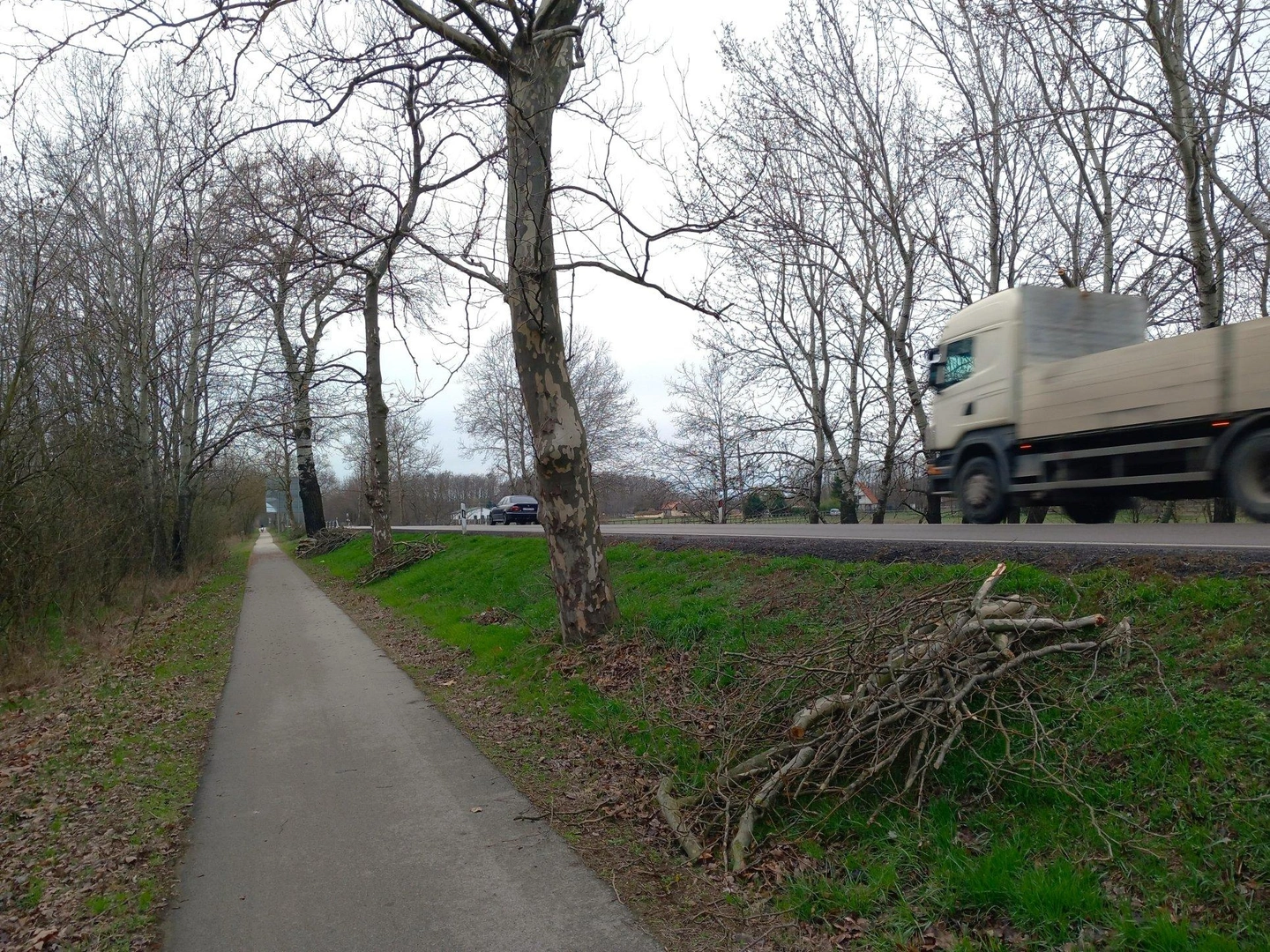52es-melletti-fak-23.jpg