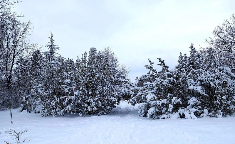 Fotó: Kecskeméti Arborétum – KEFAG Zrt