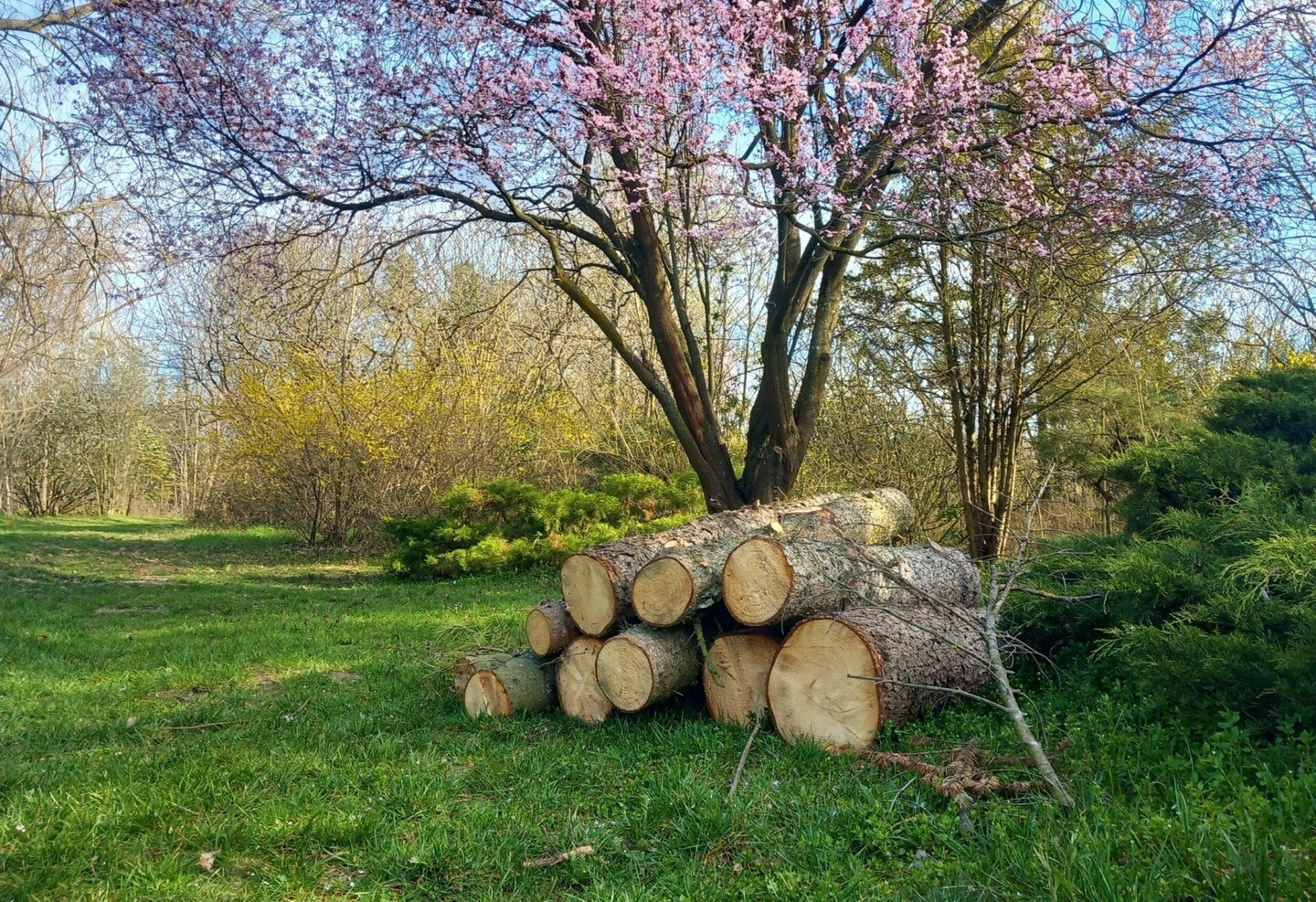 Arboretum01-scaled-1920x1316.jpg