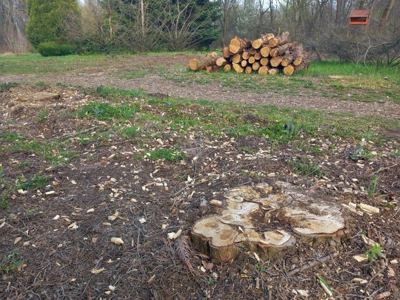 Fotó: Hraskó István