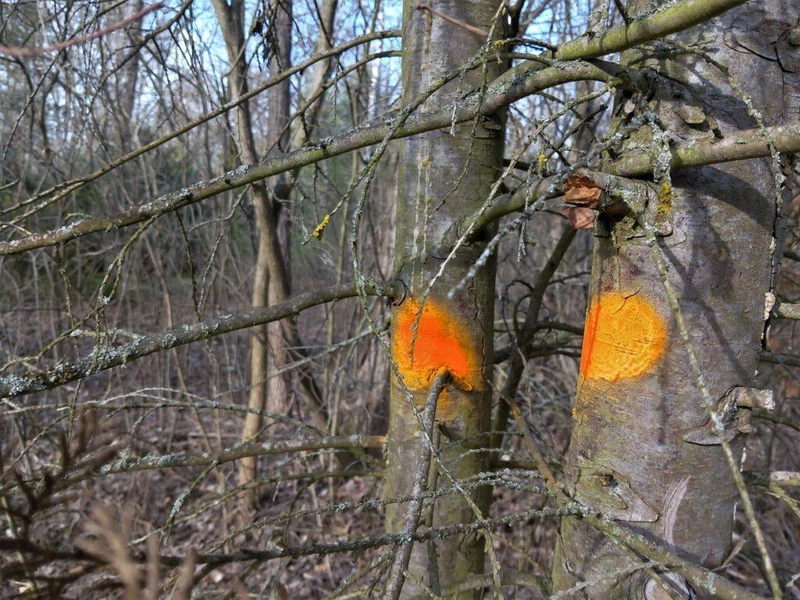 Fotó: Hraskó István