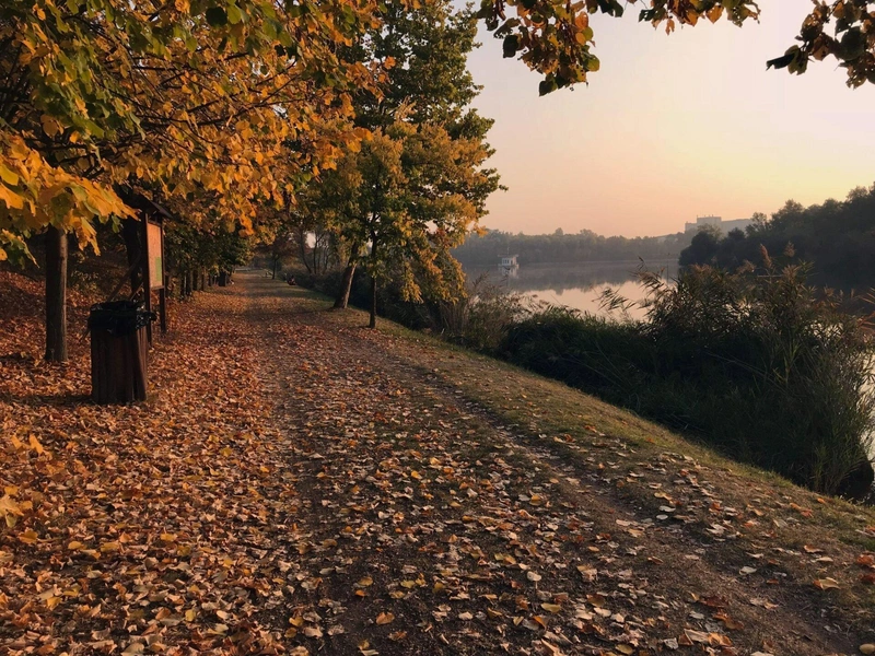 Benko-Avenue-scaled-1-1920x1440.jpg