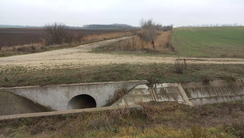 Fotó: Mikulás Gábor