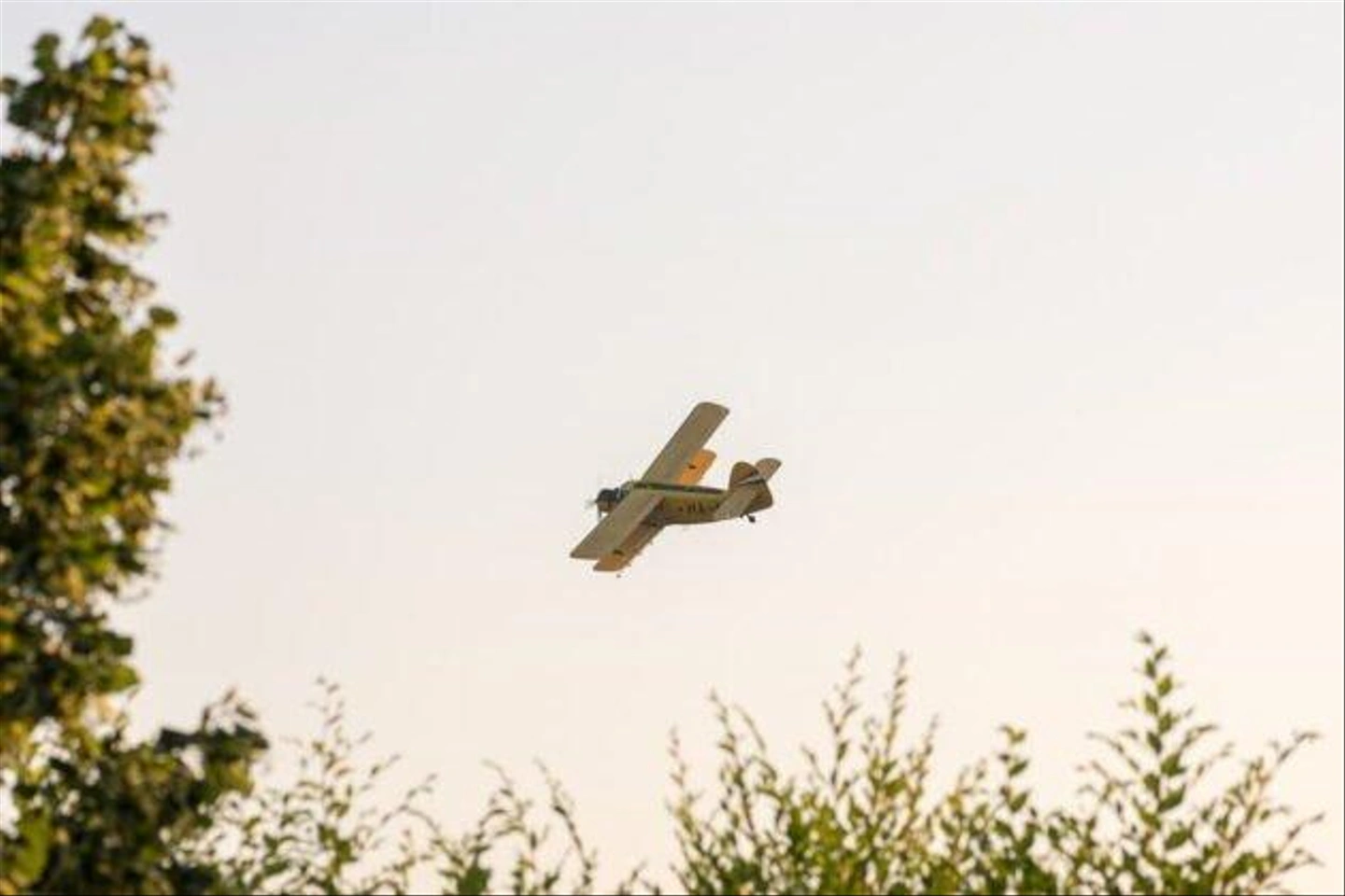 D72_3188-630x420.jpg