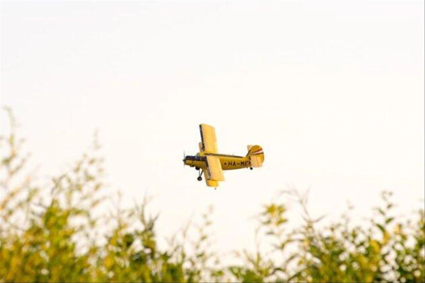 D72_3190-630x420.jpg