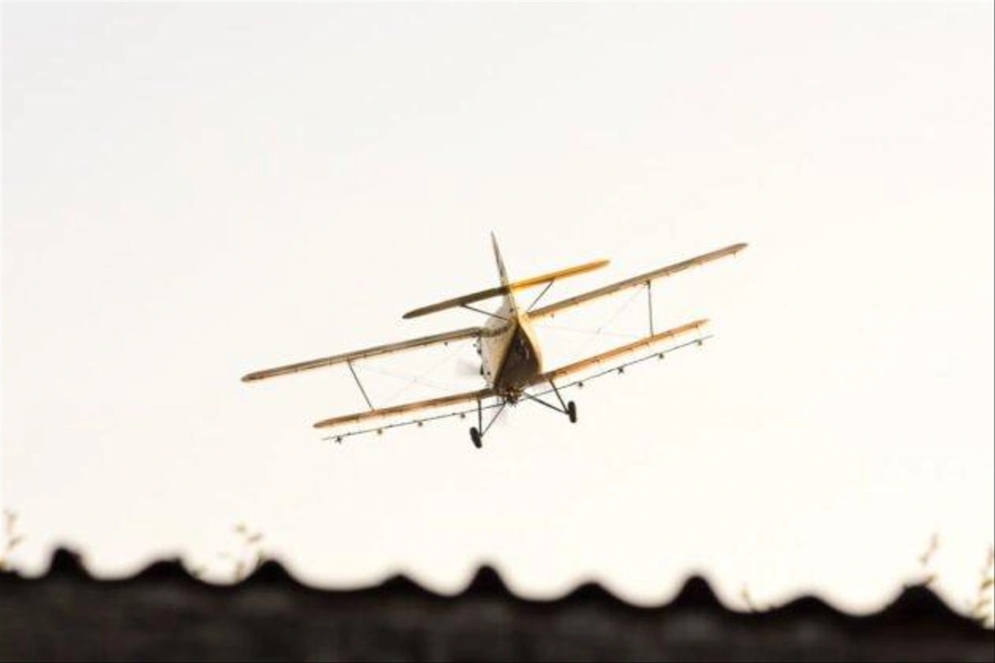 D72_3215-630x420.jpg