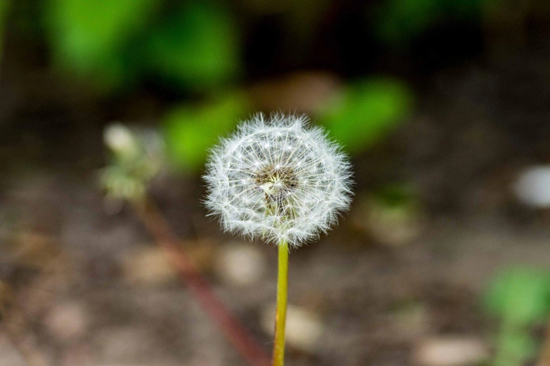 D72_4133-scaled-1920x1280.jpg