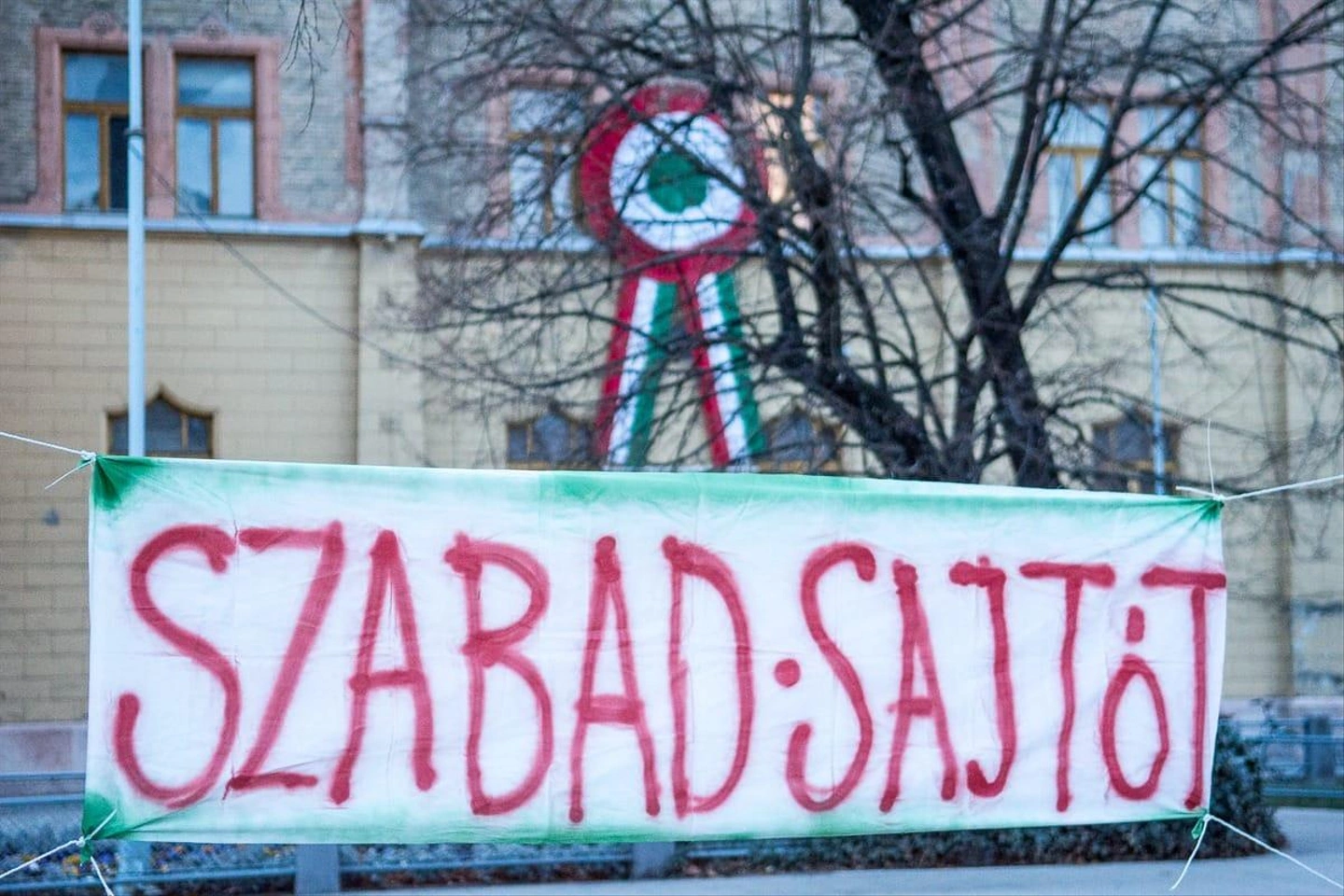 D72_8432.jpg
