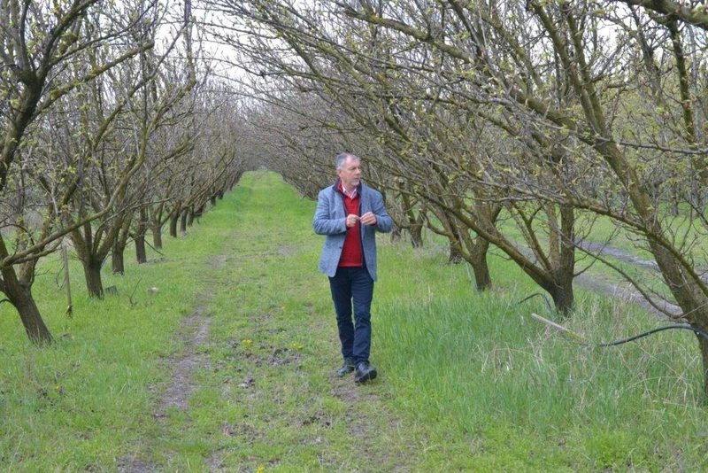 „Harmincöt év alatt, amióta a Zöldértnél vagyok, a mostanihoz hasonló pusztítást nem tapasztaltam” – Bűdi Zsolt Attila, a Bács-Zöldért tulajdonos-vezérigazgatója / Hraskó István, KecsUP Hírek