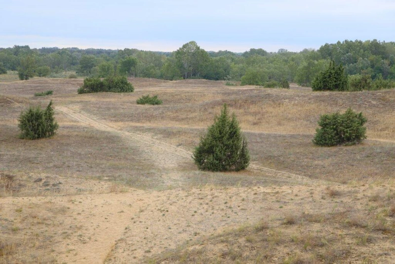 A Fülöpházi-buckavidék a Kiskunsági Nemzeti Park fokozottan védett területe / Fotó: Hraskó István, KecsUP Hírek