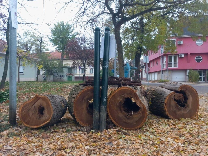 Fotó: Hraskó István
