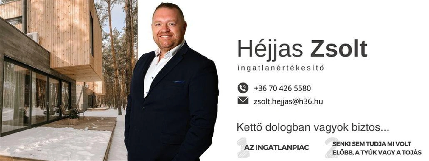 Hejjas-Zsolt_banner.jpg