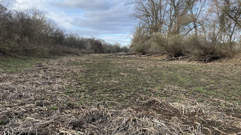 A kiszáradt Dög-Tisza medrében állunk – 2025. november vége / Fotó: Falusi Norbert / KecsUP Hírek