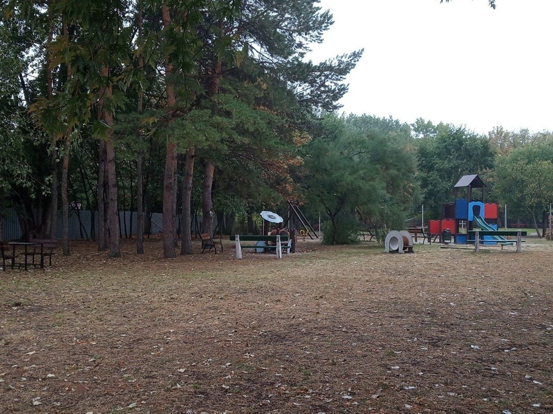 IMG_20210920_123221-1.jpg