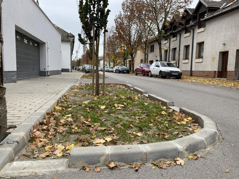 Szabad az út a víz számára a fához a Budai utcán / Fotó: kecsup.hu