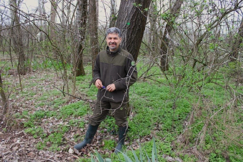 Szabó Lajos erdőmérnök, Kecskemét erdészeti szakirányítója / Fotó: Hraskó István