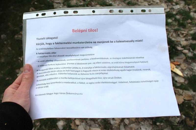 Fotó: Hraskó István