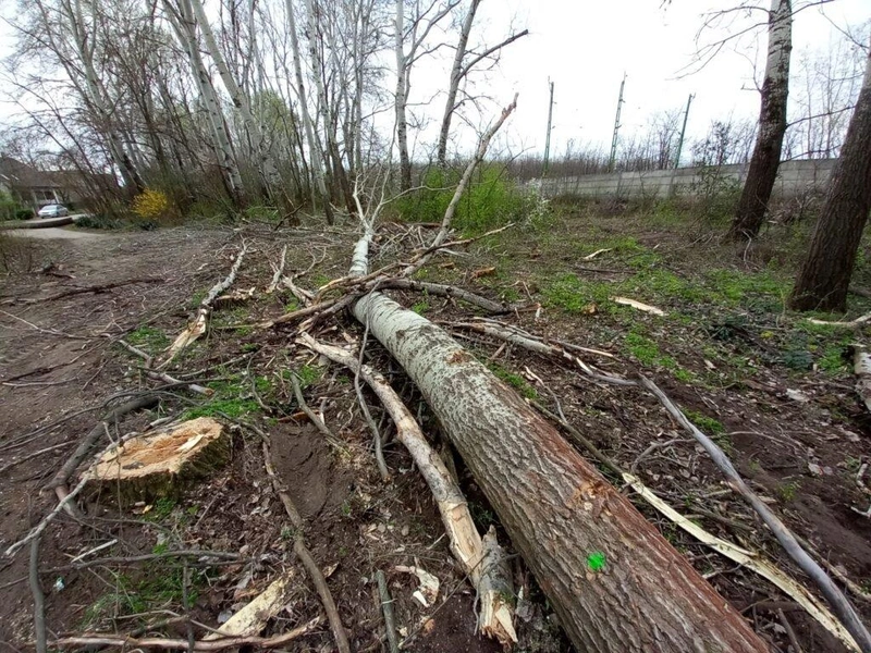 Fotó: Hraskó István