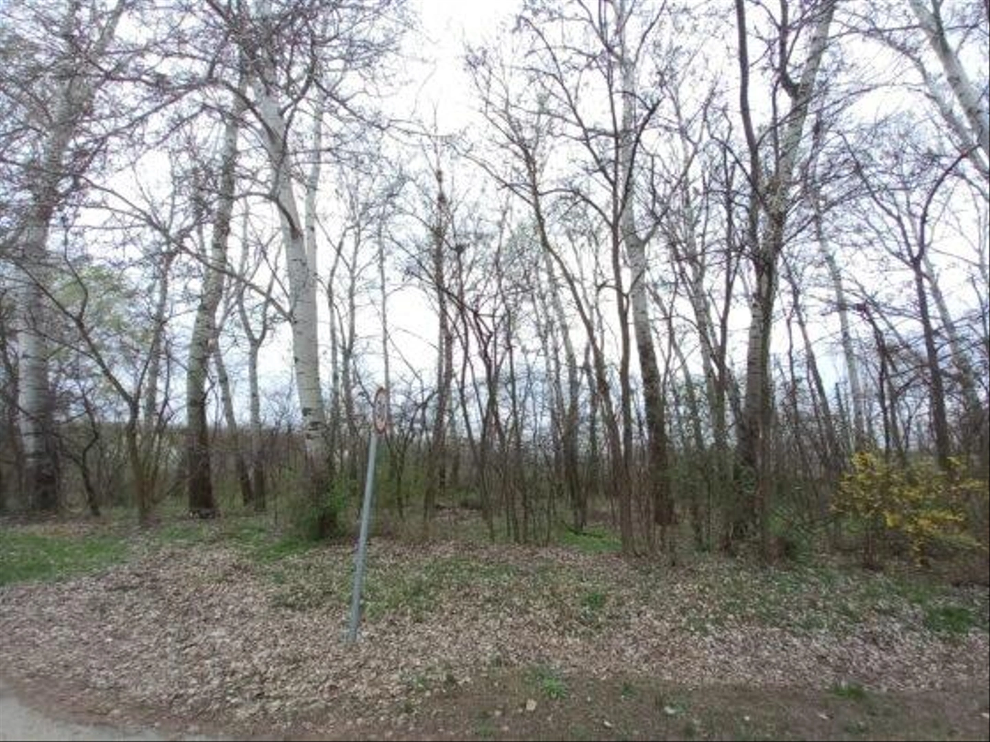 Katonatelepi-vederdo-8-560x420.jpg