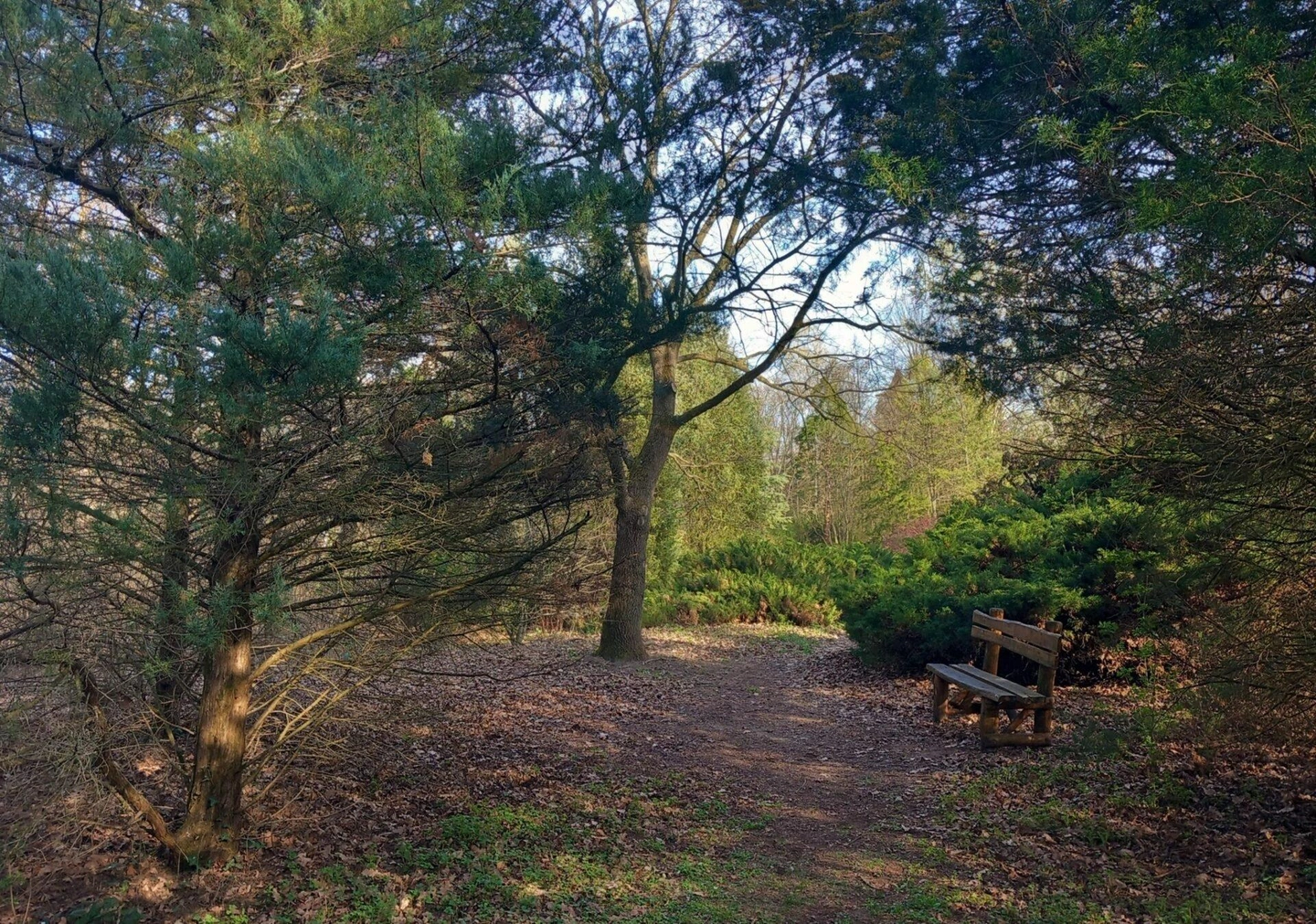 Kecskemeti-Arboretum-01-Hrasko-Istvan-scaled-1920x1348.jpg